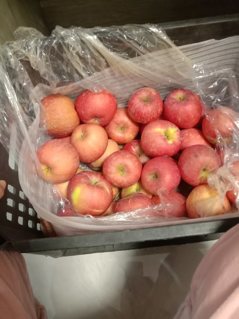 烟台富士大量供应，装筐货