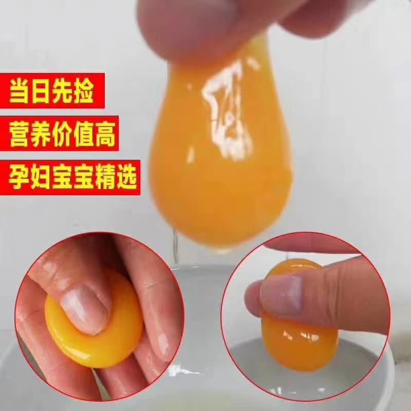 湖北恩施特产七彩山鸡蛋放养礼品