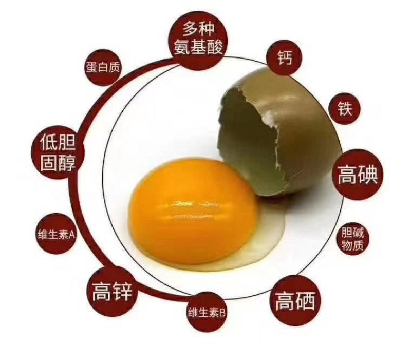 湖北恩施特产七彩山鸡蛋放养礼品