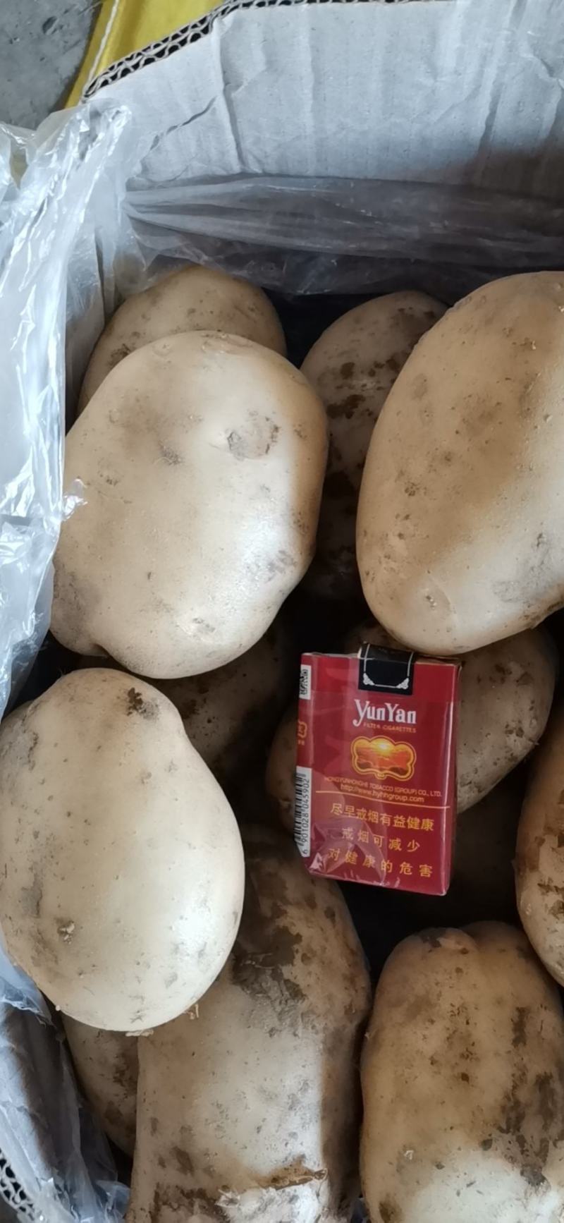 土豆品种有//丽薯6号~合作88~还有黄皮黄心~可以装相