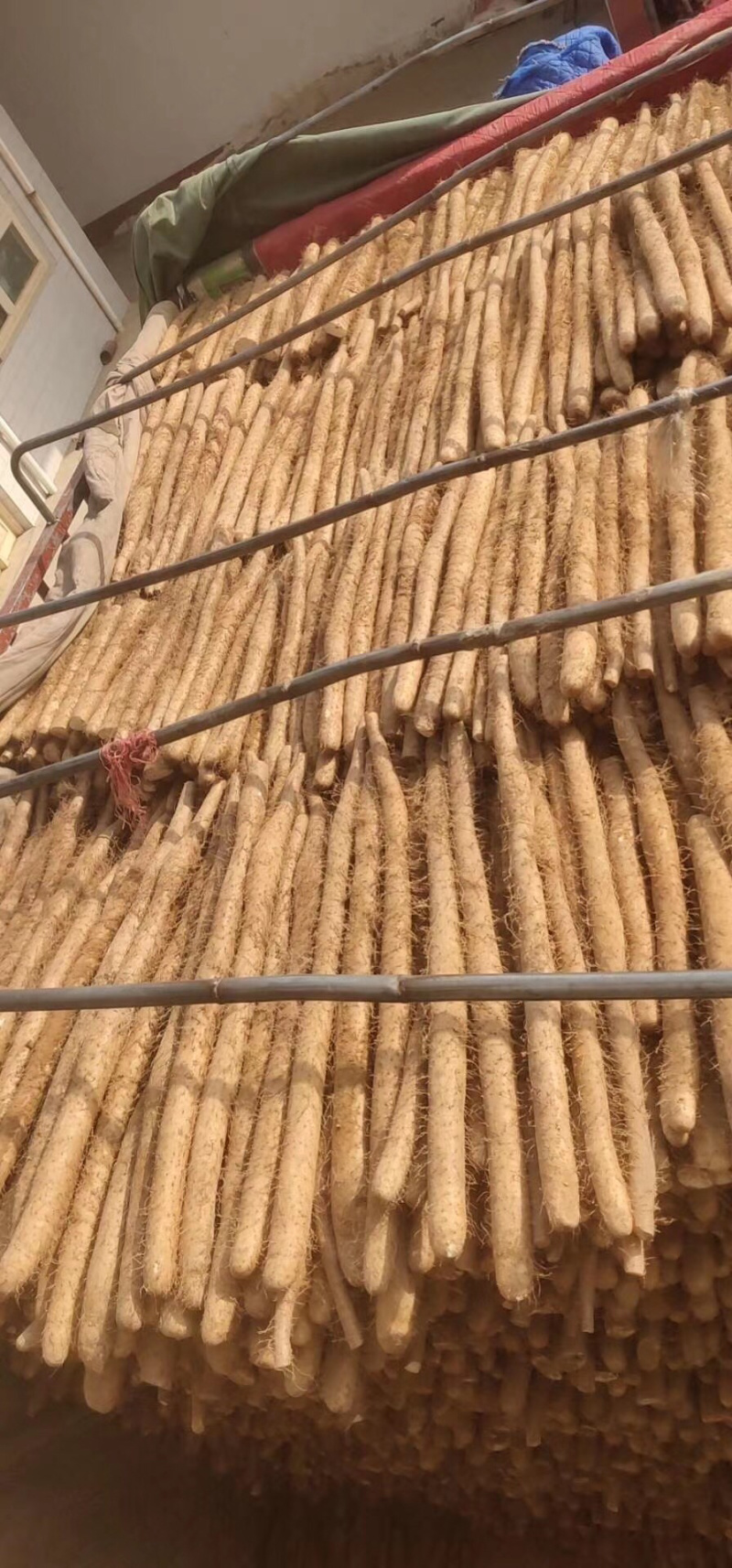 山西白玉山药～大量上市……🀄️
