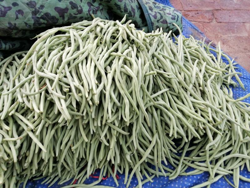有要豆王的老板联系我