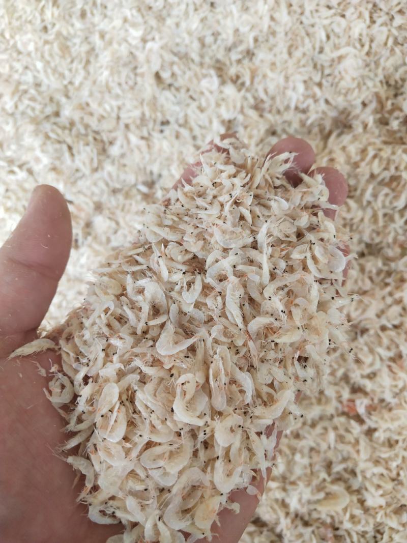 海产品批发虾皮.海米.烤虾.对虾等欢迎各大采购商联系