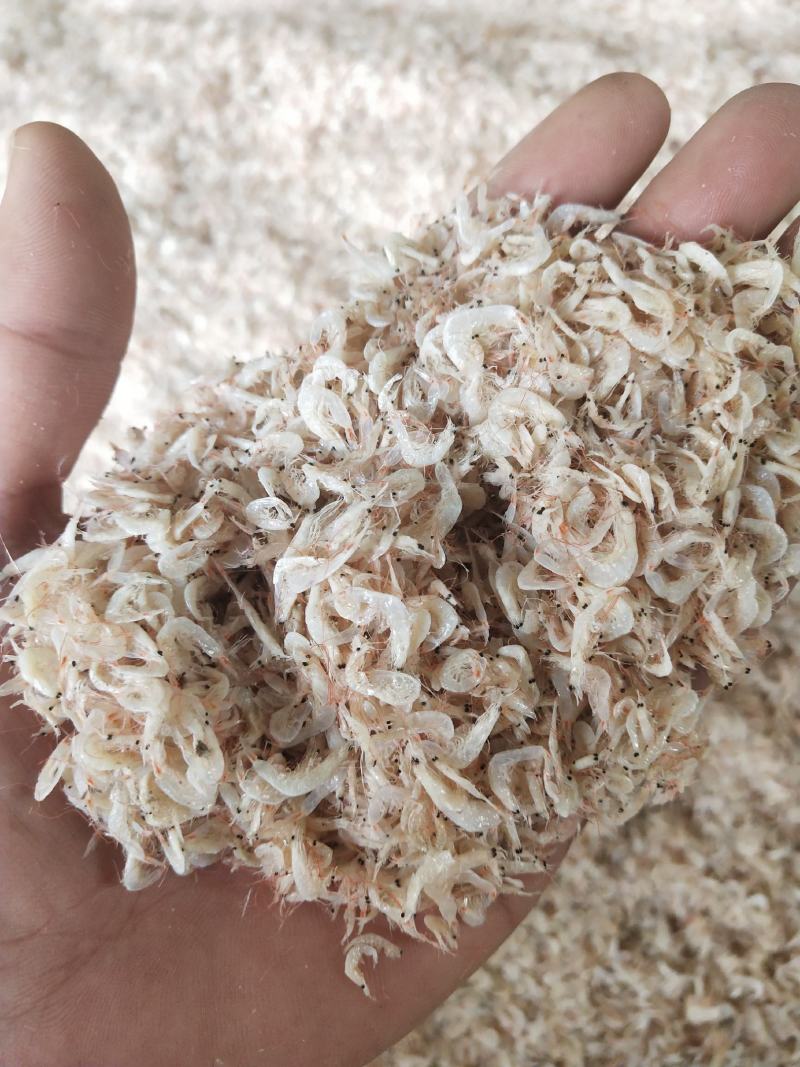 海产品批发虾皮.海米.烤虾.对虾等欢迎各大采购商联系