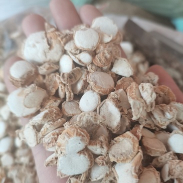 水洗山奈，低硫无硫，大货供应，批零兼营