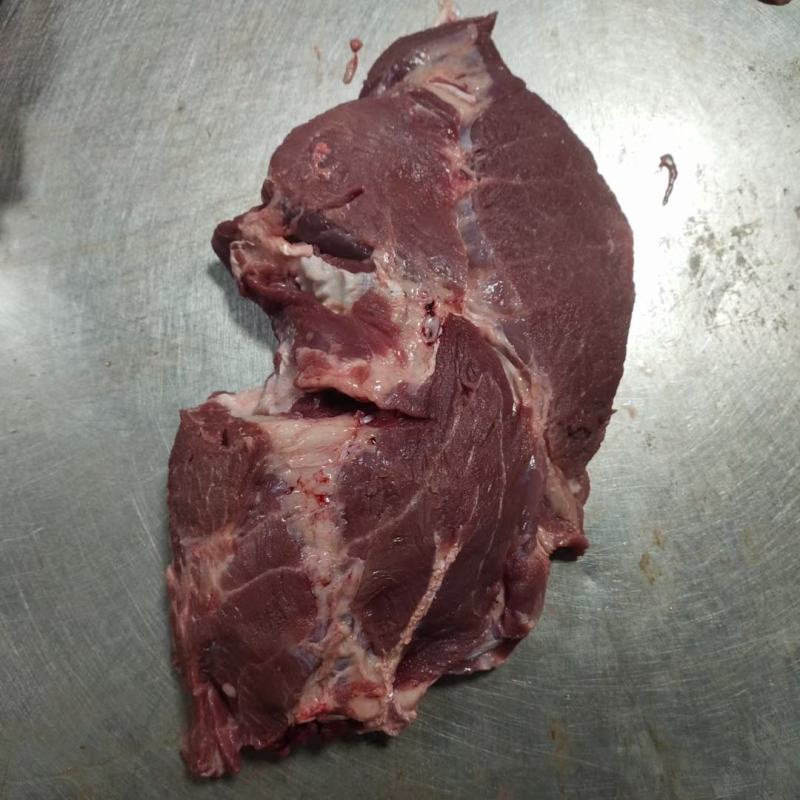 山东冻猪1号肉，厂家直销，质量赢得市场可视频看货欢迎咨询