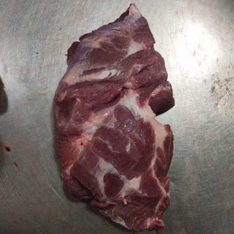 山东冻猪1号肉，厂家直销，质量赢得市场可视频看货欢迎咨询