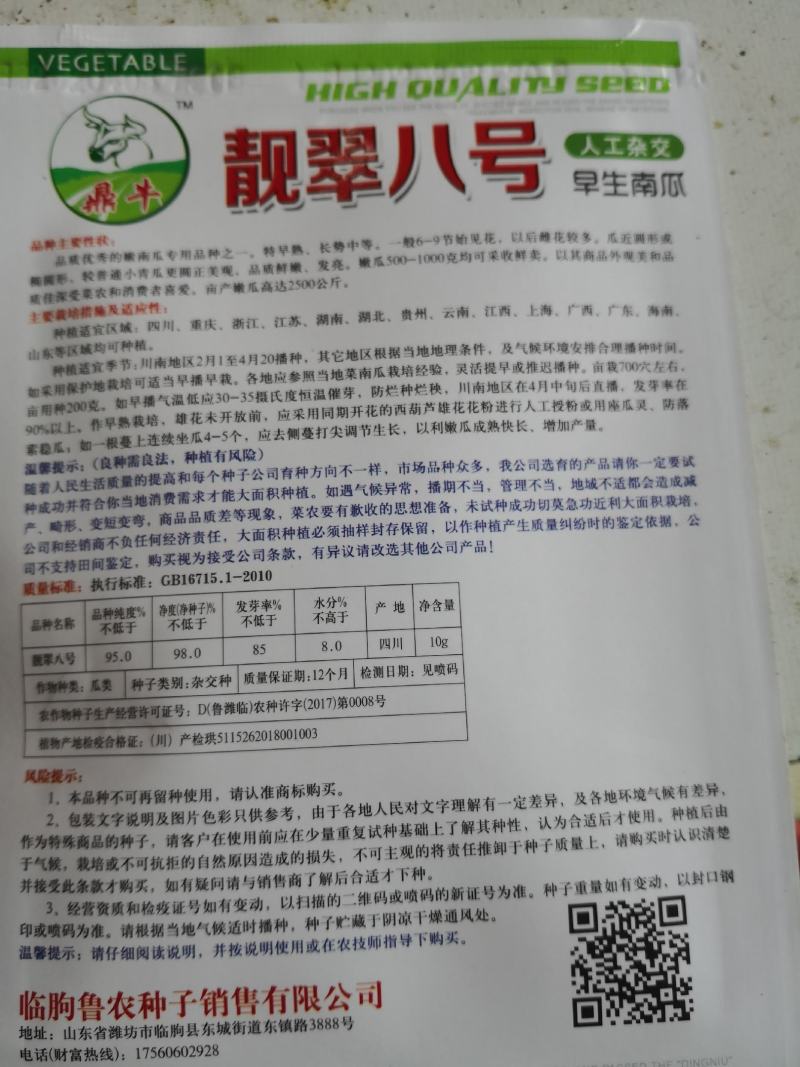 靓翠八号早生翠绿嫩南瓜种子品质好产量高好种易管理