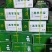 羊宝，羊蛋，一斤3个左右，品质保证，全国发货