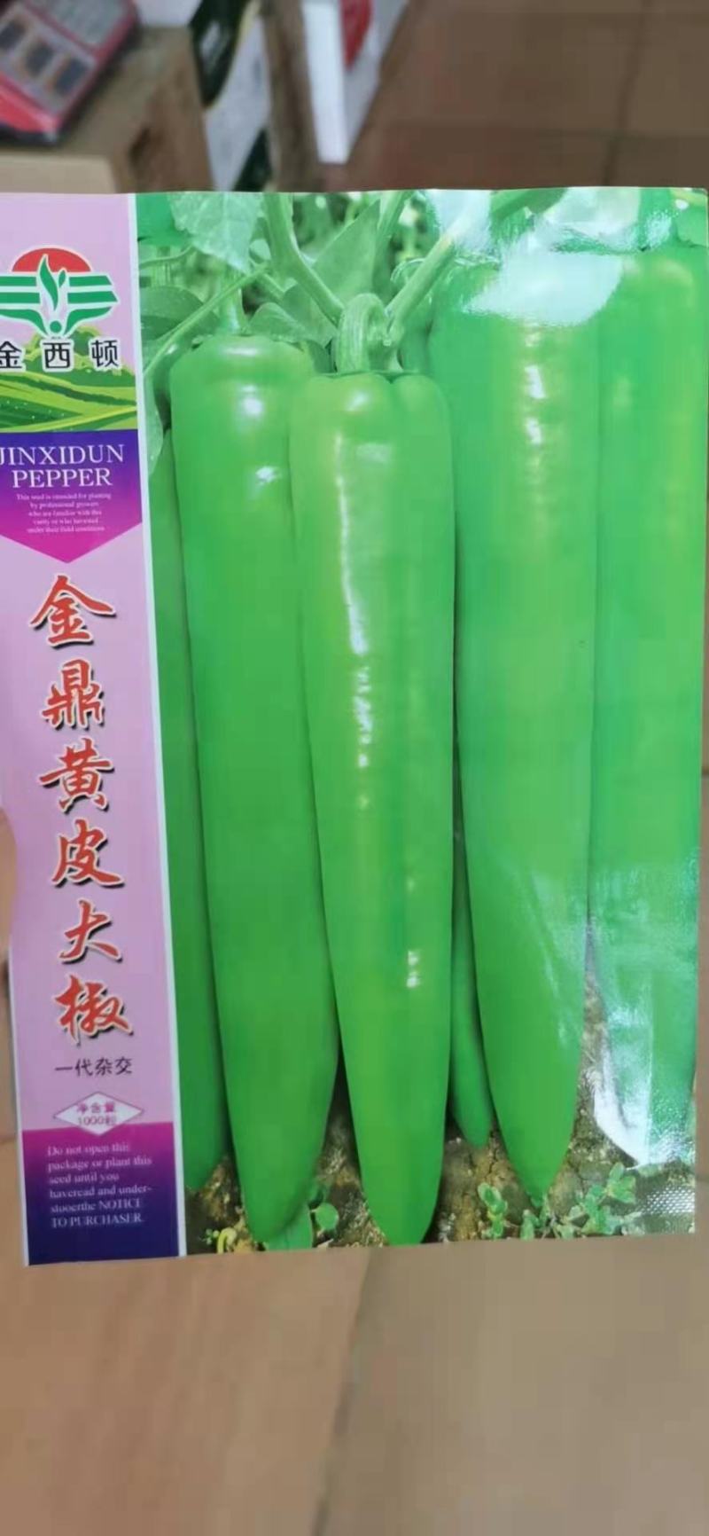 ［选购链接］薄皮辣椒种子特大果金钱树直纹黄皮辣椒泡椒种子