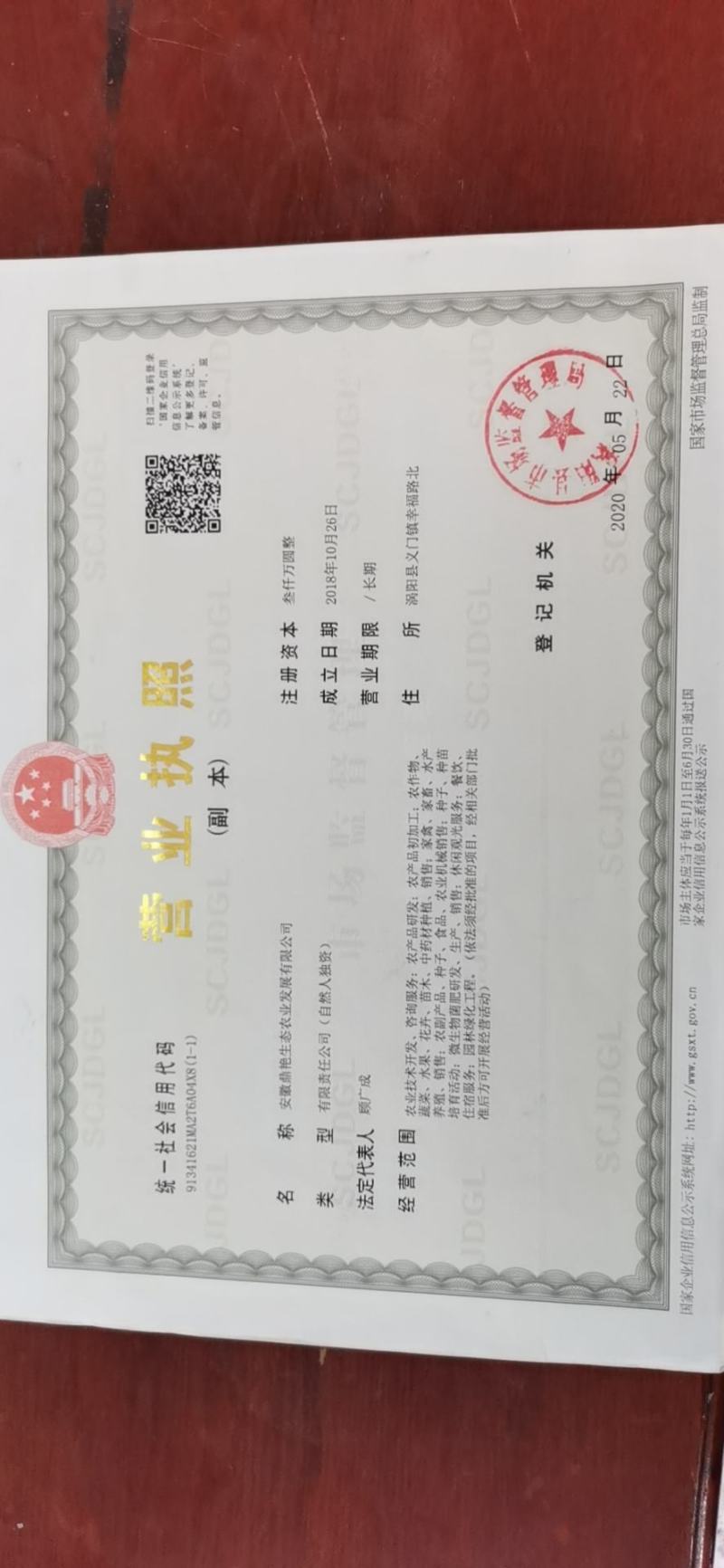 精品西红柿基地一手货源大量现货出售2-4棚人工分拣