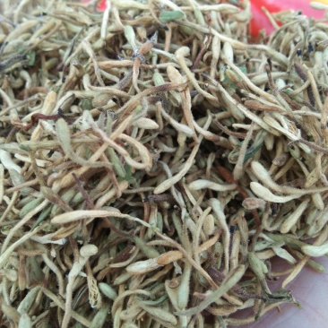 金银花湖北荆门产野生金银花自然晒干不含硫最后几斤