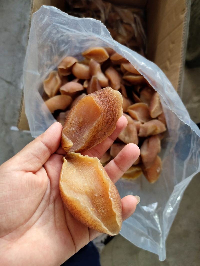 一手批发响螺片黄金鲍螺螺肉干煲汤红烧海鲜干货大片