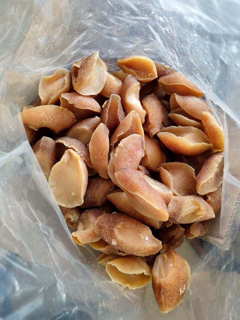 一手批发响螺片黄金鲍螺螺肉干煲汤红烧海鲜干货大片