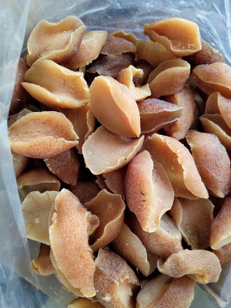 一手批发响螺片黄金鲍螺螺肉干煲汤红烧海鲜干货大片