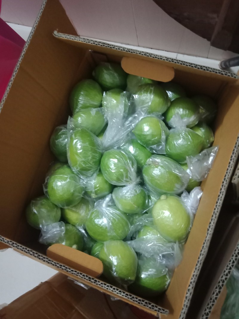 香水柠檬香水柠檬香水柠檬