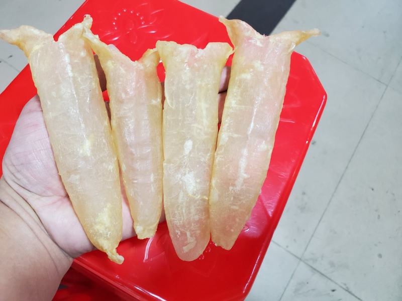 鱼胶黄花胶佛跳墙巴沙鱼胶筒，非黄花胶一斤28到30头左右