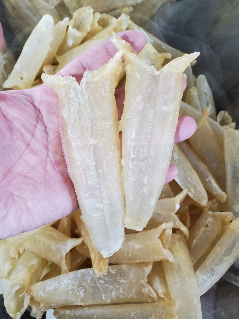 鱼胶黄花胶佛跳墙巴沙鱼胶筒，非黄花胶一斤28到30头左右