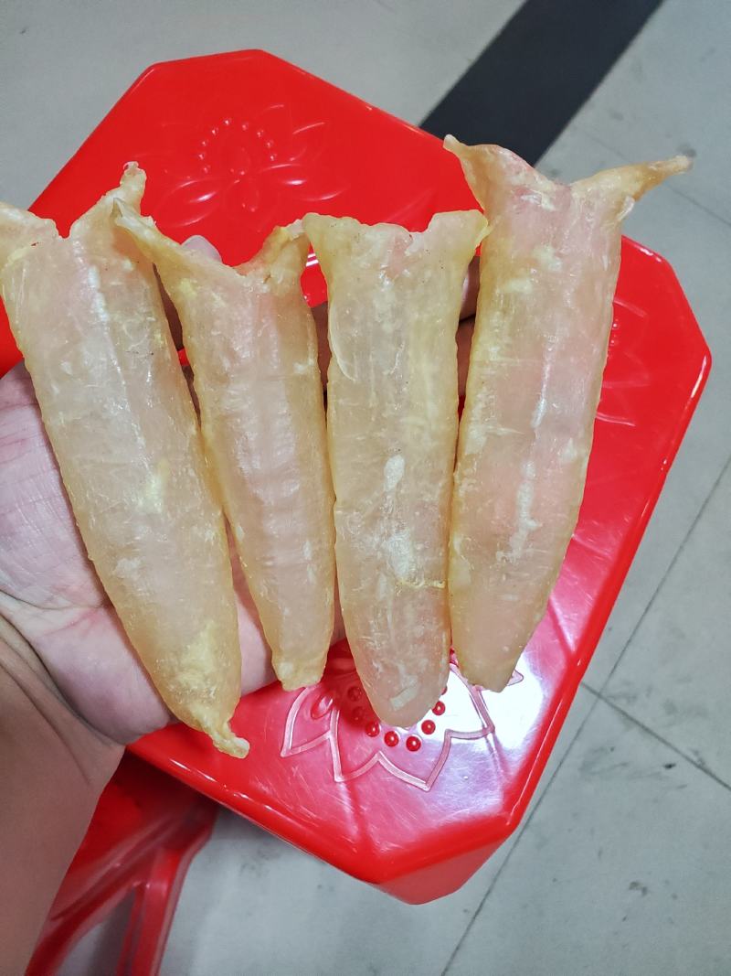 鱼胶黄花胶佛跳墙巴沙鱼胶筒，非黄花胶一斤28到30头左右