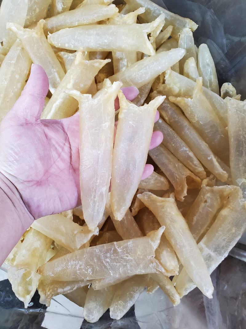 鱼胶黄花胶佛跳墙巴沙鱼胶筒，非黄花胶一斤28到30头左右