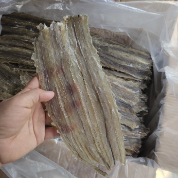 批发白鳗片一手货源烧烤鳗片烧烤鱼肉片手撕鳗鱼片原材料