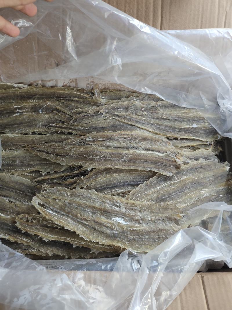 批发白鳗片一手货源烧烤鳗片烧烤鱼肉片手撕鳗鱼片原材料