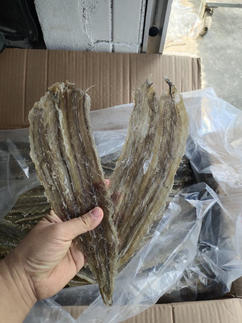 批发白鳗片一手货源烧烤鳗片烧烤鱼肉片手撕鳗鱼片原材料
