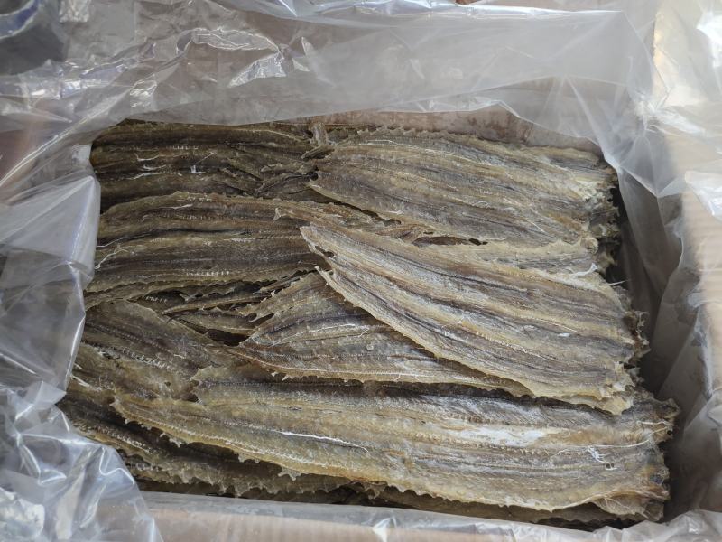 批发白鳗片一手货源烧烤鳗片烧烤鱼肉片手撕鳗鱼片原材料