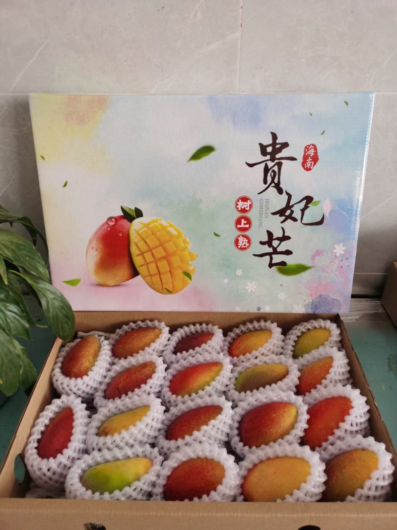 树熟贵妃芒大量供应只做好货
