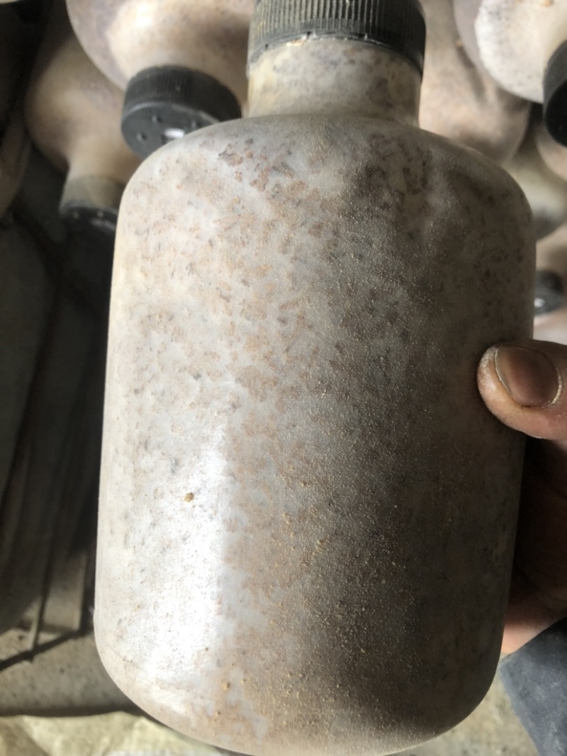 贵州织金县红托竹荪菌种