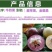 牛奶果苗星苹果金星苹果苗羊牛奶果苗牛奶果树苗