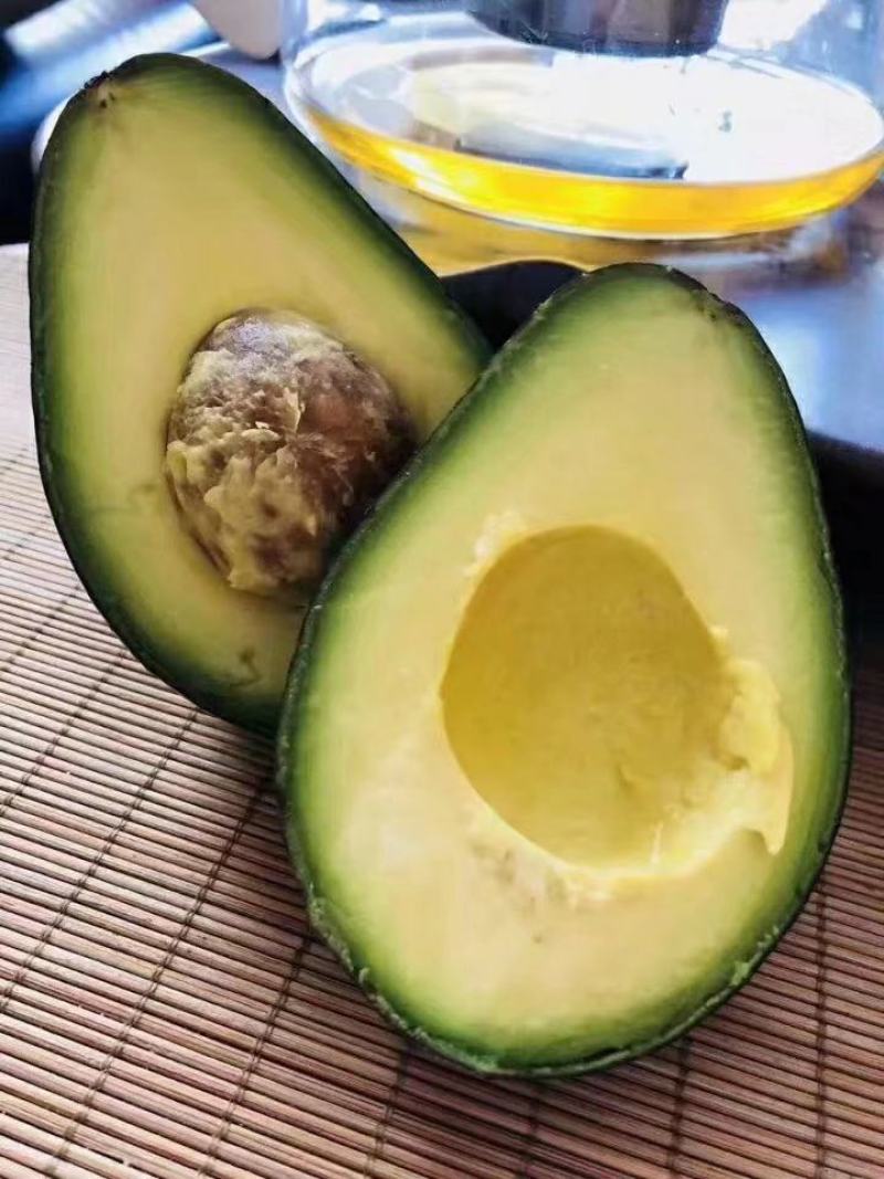 【正品】墨西哥进口牛油果苗正品进口苗提供技术支持