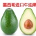 【正品】墨西哥进口牛油果苗正品进口苗提供技术支持