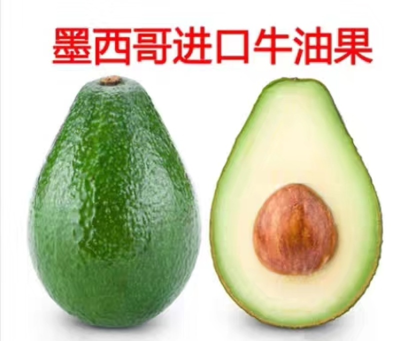 【正品】墨西哥进口牛油果苗正品进口苗提供技术支持