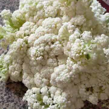 小米散花、花菜、加工厂专用脱水加工大量供应