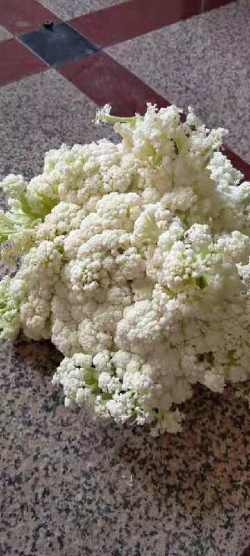 小米散花、花菜、加工厂专用脱水加工大量供应
