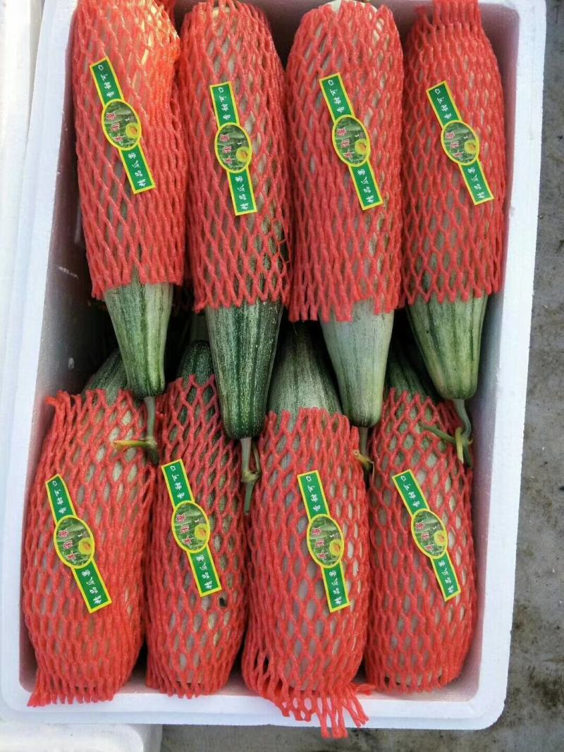 精品羊角蜜，产地直发中口感脆甜，包装小工齐全无中间商差价
