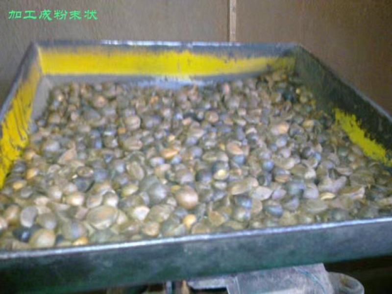 福建省三明市高山野生红花茶油