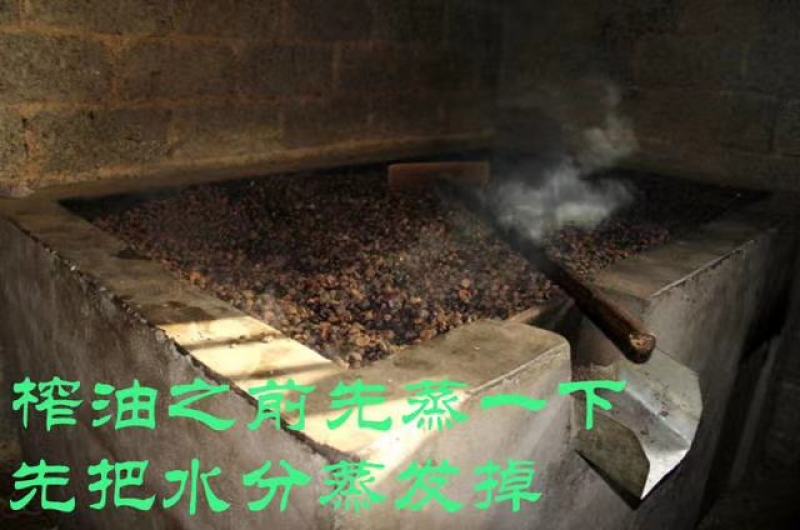 福建省三明市高山野生红花茶油