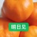 【精品】黄美人苗明日见柑橘苗甘平苗爱媛68黄美人柑橘苗