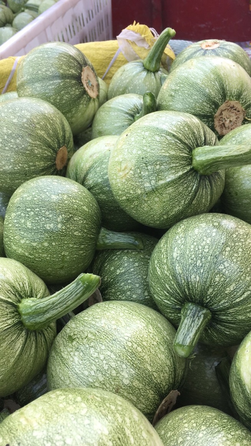 白花地南瓜青花南瓜，种类齐全一手货源产地直发