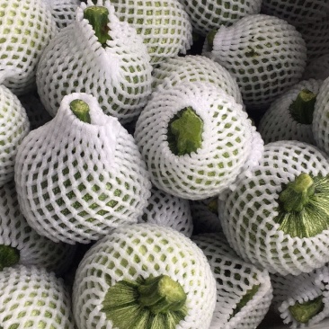 白花地南瓜青花南瓜，种类齐全一手货源产地直发