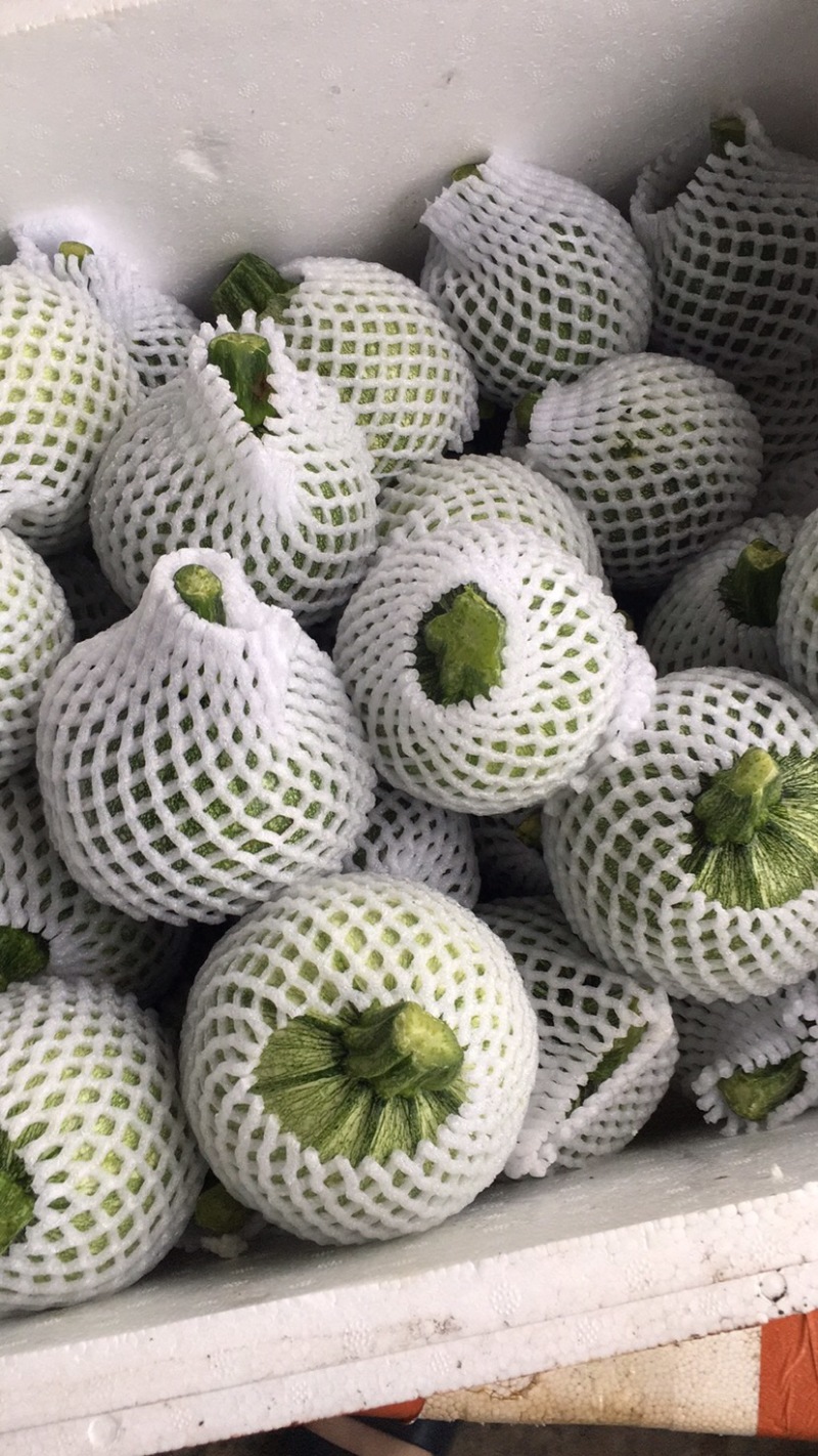 白花地南瓜青花南瓜，种类齐全一手货源产地直发
