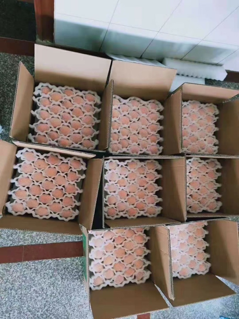 枇杷产品批发欢迎全国代理商咨询，顺丰一件代发