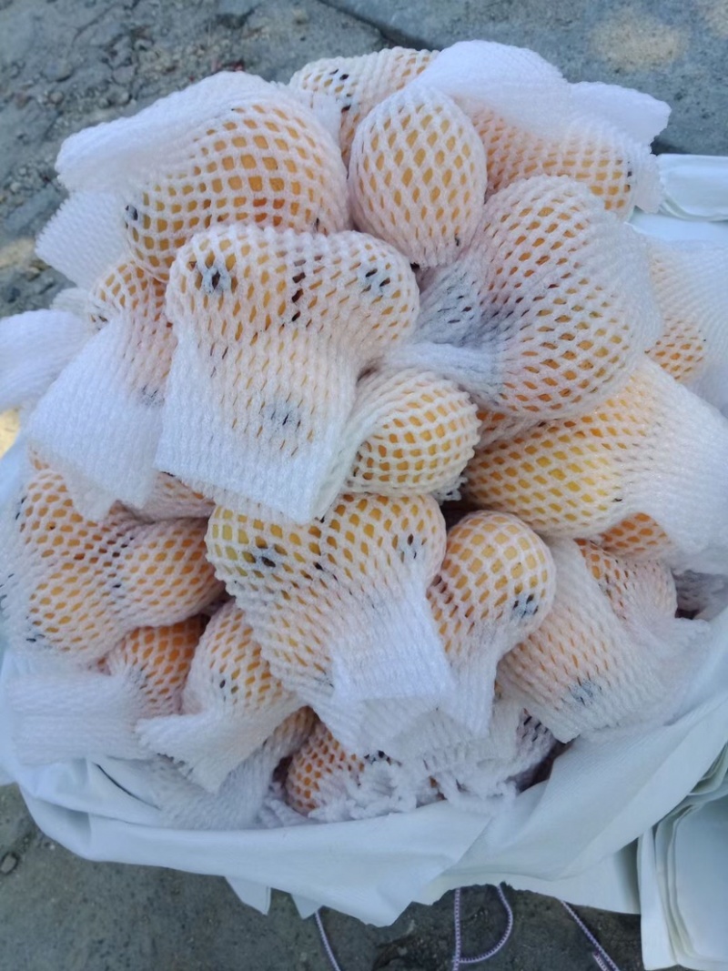 枇杷产品批发欢迎全国代理商咨询，顺丰一件代发