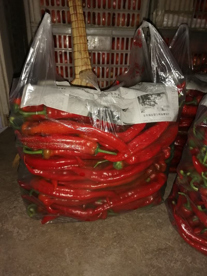 鲜辣椒有要的联系？？？？？