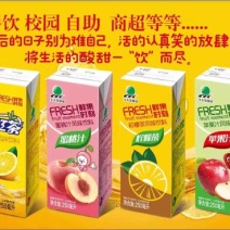 北大荒果汁饮料春夏热卖饮品250ml*24厂家直供