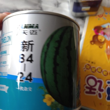 冰糖麒麟西瓜，早熟品种。果实圆形，含糖13%以上，