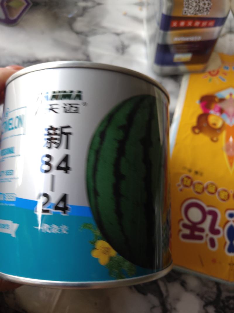 冰糖麒麟西瓜，早熟品种。果实圆形，含糖13%以上，