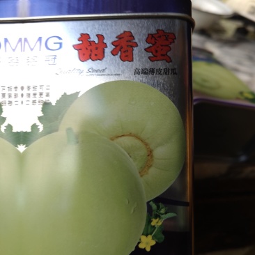 甜香蜜甜瓜种子，丰产性好。坐果性好。不易裂果